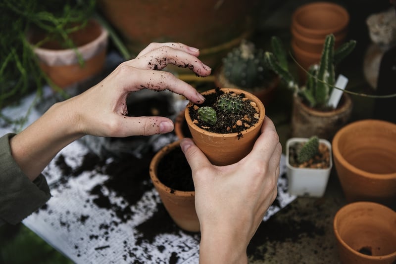 Garden Workshop